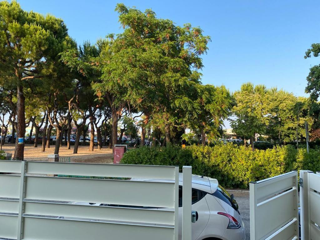 Willa Novella Del Mar Prima Fila Dal Mare Grottammare Zewnętrze zdjęcie